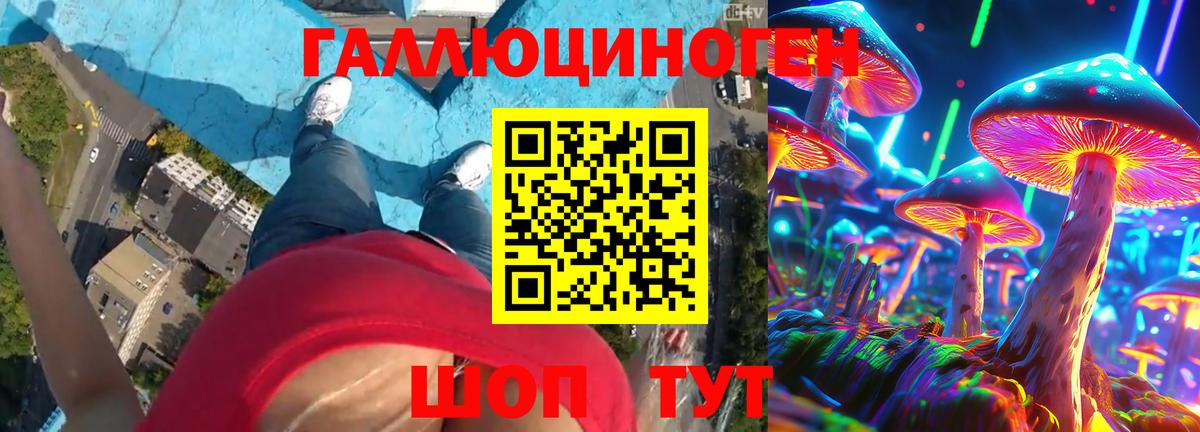 Псилоцибиновые грибы MAGIC MUSHROOMS  Галлюциногенные грибы Psilocybine cubensis  Медногорск  Вход с VPN 